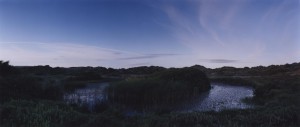 dunes_braunton-burrows003