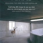 Feral : rewilding the land, sea and human life