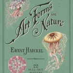Art forms in nature