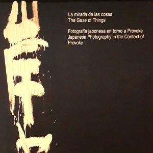 La mirada de las cosas : fotografía japonesa en torno a Provoke = The gaze of things : Japanese photography in the context of Provoke