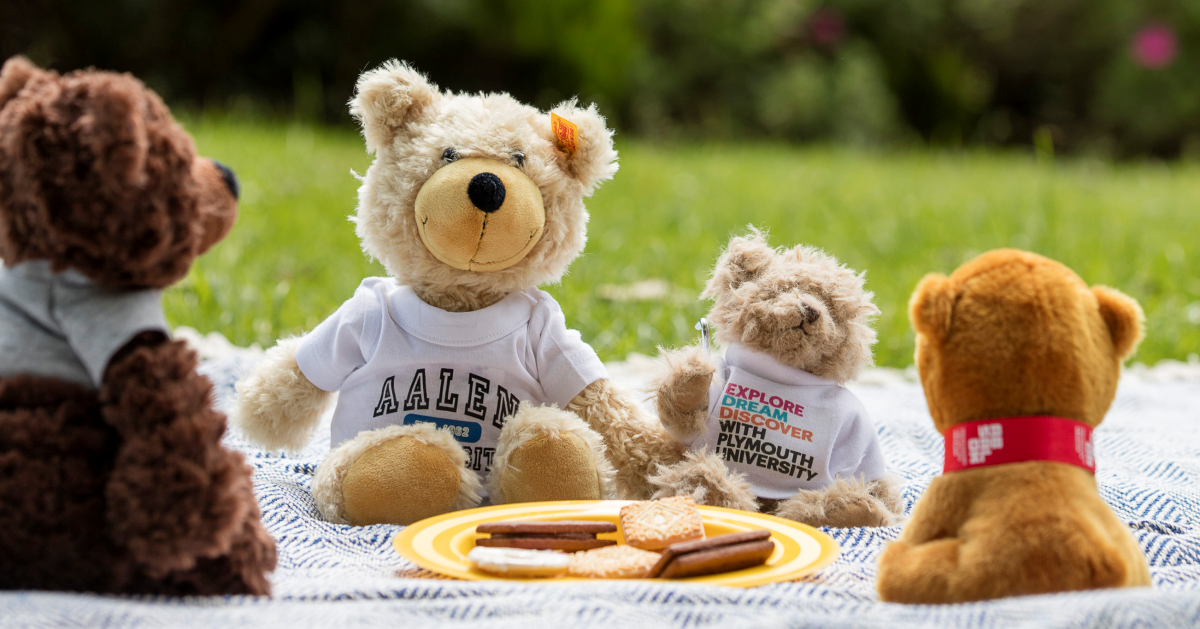 teddy bear picnic day