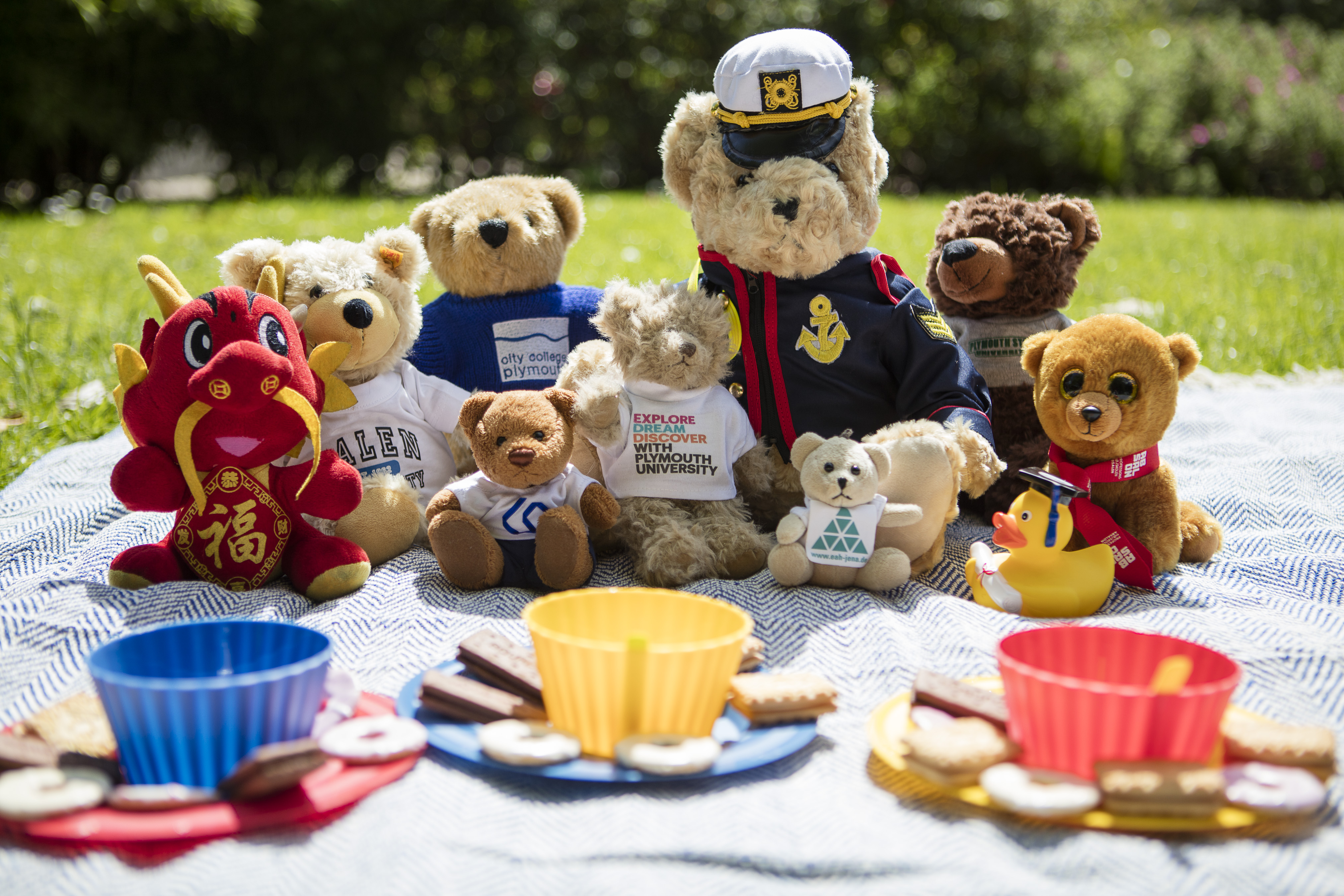 teddy bears picnic