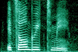 1024px-Human_voice_spectrogram