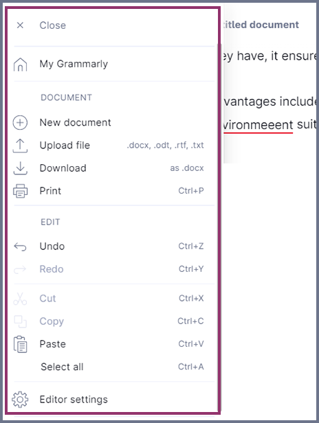 Screenshot of Grammarly internal menu.
