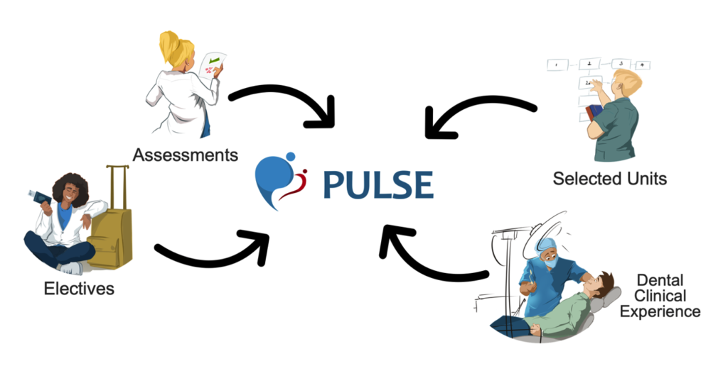 Four illustrated images of student doctors surrounding the word PULSE. 